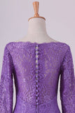 2024 Purple Mother Of The Bride Dresses V Neck 3/4 Length Sleeve Mermaid Lace PAG916GG