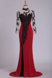 2024 Long Sleeves Prom Dresses High Neck With Applique PP62C7FC