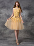 A-line/Princess High Neck Applique Sleeveless Short Lace Cocktail Dresses TPP0008538